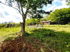 Terreno / Lote / Condomínio à venda no Estancia Grande, Viamão - Foto 18