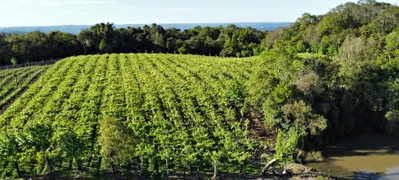 Fazenda / Sítio / Chácara à venda, 24000m² no Zona Rural, Monte Belo do Sul - Foto 9