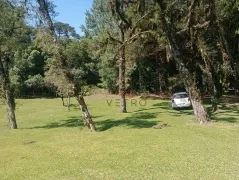 Terreno / Lote / Condomínio à venda, 3000m² no , Canela - Foto 5