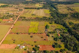 Fazenda / Sítio / Chácara com 3 Quartos à venda, 300m² no Zona Rural, Luziânia - Foto 14