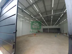 Loja / Salão / Ponto Comercial com 1 Quarto para alugar, 400m² no Martins, Uberlândia - Foto 2