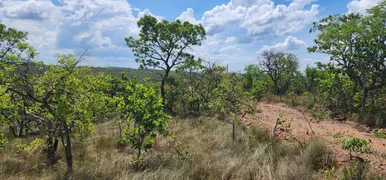 Fazenda / Sítio / Chácara à venda, 20000m² no Zona Rural, Baldim - Foto 5