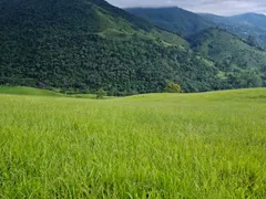 Fazenda / Sítio / Chácara com 5 Quartos à venda, 169400m² no São Francisco Xavier, São José dos Campos - Foto 42