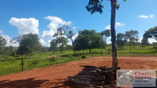 Fazenda / Sítio / Chácara com 4 Quartos à venda, 168m² no Zona Rural, Vila Propício - Foto 21