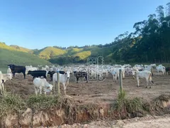 Fazenda / Sítio / Chácara com 3 Quartos à venda, 1000m² no Boa Esperança, Rio Bonito - Foto 20