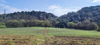 Fazenda / Sítio / Chácara à venda, 240000m² no Zona Rural, Bocaiúva do Sul - Foto 17