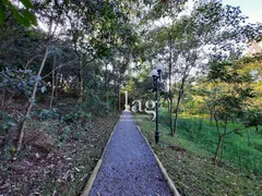 Terreno / Lote / Condomínio à venda, 250m² no Parque Residencial Villa dos Inglezes, Sorocaba - Foto 14