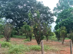 Fazenda / Sítio / Chácara com 1 Quarto para alugar, 10000m² no Cancelinha, Esmeraldas - Foto 10