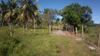 Fazenda / Sítio / Chácara à venda, 74000m² no Zona Rural, Conde - Foto 11