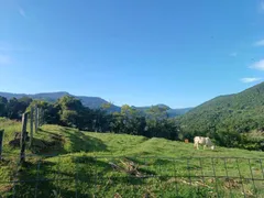 Fazenda / Sítio / Chácara com 1 Quarto à venda, 150m² no , Canela - Foto 21