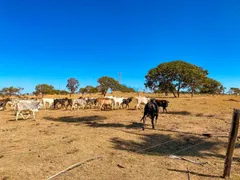 Fazenda / Sítio / Chácara com 8 Quartos à venda, 500000m² no Zona Rural, Luziânia - Foto 26