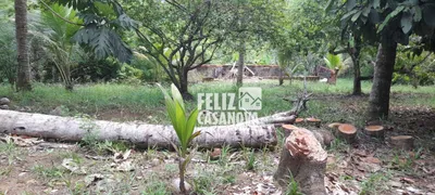 Fazenda / Sítio / Chácara à venda, 4000m² no Pitanguinha, Simões Filho - Foto 18