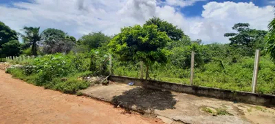 Terreno / Lote Comercial à venda, 9702m² no Zona Rural, Nísia Floresta - Foto 2