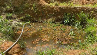 Fazenda / Sítio / Chácara com 3 Quartos à venda, 140m² no Nova Descoberta, Tijucas - Foto 28