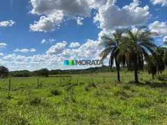 Fazenda / Sítio / Chácara com 1 Quarto à venda, 1780m² no Rural, Curvelo - Foto 18
