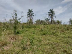 Fazenda / Sítio / Chácara à venda, 12100m² no Rural, Torre de Pedra - Foto 4