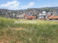 Terreno / Lote Comercial à venda, 2900m² no Alto da Boa Vista, Ponte Nova - Foto 4