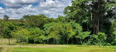 Fazenda / Sítio / Chácara com 3 Quartos à venda, 700m² no Jardim dos Lopes, Limeira - Foto 5