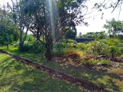 Terreno / Lote / Condomínio à venda, 1162m² no Jardim San Ressore, Cotia - Foto 14