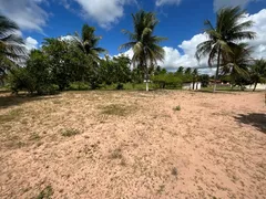 Terreno / Lote / Condomínio à venda, 1000m² no Zona Rural, São José de Mipibu - Foto 2