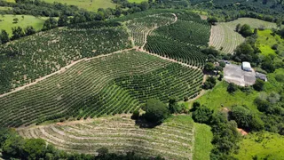 Fazenda / Sítio / Chácara à venda, 299000m² no Zona Rural, Carmo do Rio Claro - Foto 3