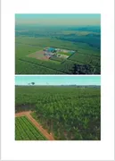 Fazenda / Sítio / Chácara com 1 Quarto à venda, 20000000m² no Capuava, Redenção - Foto 2