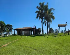 Fazenda / Sítio / Chácara com 2 Quartos à venda, 23000m² no Faxina, São José dos Pinhais - Foto 2