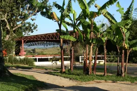 Fazenda / Sítio / Chácara com 8 Quartos à venda, 3000m² no Jardim Nova Ipelandia, Suzano - Foto 19