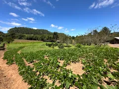 Fazenda / Sítio / Chácara com 2 Quartos à venda, 30000m² no Zona Rural, Campo Alegre - Foto 6