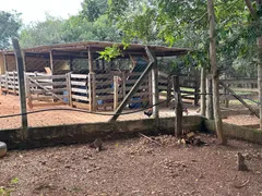 Fazenda / Sítio / Chácara com 6 Quartos à venda, 42000m² no Setor Central, Bonfinópolis - Foto 22