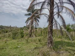 Fazenda / Sítio / Chácara à venda, 12100m² no Rural, Torre de Pedra - Foto 8