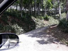 Terreno / Lote / Condomínio à venda, 5000m² no Vale das Videiras, Petrópolis - Foto 16