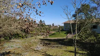 Fazenda / Sítio / Chácara à venda, 10500m² no Centro, Campo Magro - Foto 7