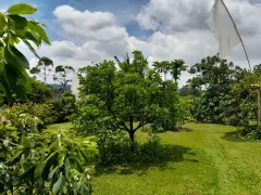 Fazenda / Sítio / Chácara com 4 Quartos à venda, 900m² no Campininha Canguera, São Roque - Foto 73