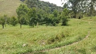 Fazenda / Sítio / Chácara com 2 Quartos à venda, 240000m² no Pouso Alto, Natividade da Serra - Foto 47