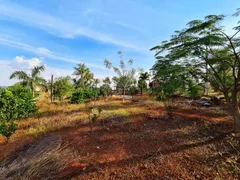 Fazenda / Sítio / Chácara com 3 Quartos à venda, 480m² no Jardim Nova Limeira, Limeira - Foto 15