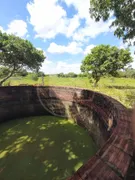 Fazenda / Sítio / Chácara com 3 Quartos à venda, 75000m² no Centro, Pindoretama - Foto 4