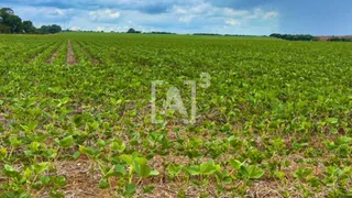 Fazenda / Sítio / Chácara à venda, 1600000m² no Zona Rural, Perdizes - Foto 2