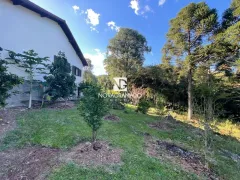 Fazenda / Sítio / Chácara com 2 Quartos à venda, 90m² no Carazal, Gramado - Foto 8