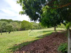 Fazenda / Sítio / Chácara com 4 Quartos à venda, 75000m² no Zona Rural, Bonfinópolis - Foto 24