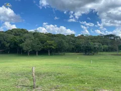 Terreno / Lote / Condomínio à venda, 3756m² no Ouro Verde, Campo Largo - Foto 2