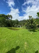Fazenda / Sítio / Chácara com 2 Quartos à venda, 156m² no Três Riachos, Biguaçu - Foto 5
