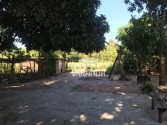 Fazenda / Sítio / Chácara com 4 Quartos à venda, 250m² no Centro, José Bonifácio - Foto 20