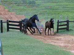 Fazenda / Sítio / Chácara com 16 Quartos à venda, 163m² no Centro, Pirajuí - Foto 12