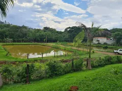 Fazenda / Sítio / Chácara com 2 Quartos à venda, 20000m² no Centro, Piracaia - Foto 24