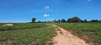 Fazenda / Sítio / Chácara com 3 Quartos à venda, 5200000m² no Zona Rural, Buritizeiro - Foto 30