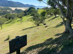 Terreno / Lote / Condomínio à venda, 2000m² no Morrinhos, Garopaba - Foto 1