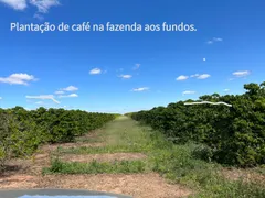 Fazenda / Sítio / Chácara com 4 Quartos à venda, 39790000m² no Centro, Buritizeiro - Foto 25