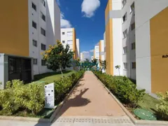 Apartamento com 2 Quartos para alugar, 43m² no Sao Domingos, Paulínia - Foto 4