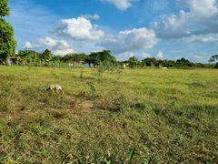 Fazenda / Sítio / Chácara com 3 Quartos à venda, 14000000m² no Area Rural de Caruaru, Caruaru - Foto 25